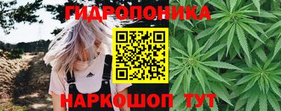 марки nbome Гусев