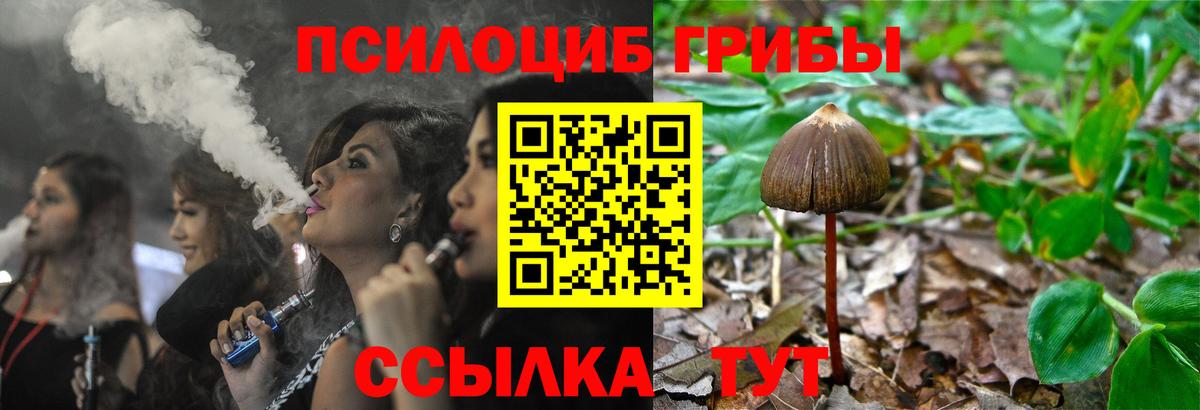 Галлюциногенные грибы мухоморы  Вход с VPN  Нижний Новгород  Псилоцибиновые грибы MAGIC MUSHROOMS 